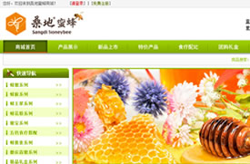大连网站建设 -桑地蜜蜂商城-