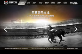大连网站建设 -至尊天马实业集团-深圳至尊天马实业有限公司经改制成立于2010年伊始，它的前身是大连巡骑马业商务服务有限公司，主要从事于引进国际赛马良种及其繁养和训马基地建设，建立马术人才培训基地，实施马业文化建设和训马专业的系统化教育。经过五年来的努力，先后投入500多万元的基础建设资金，与多家教育单位合作建立了大连海洋大学成人教育学院北方校区和大连北方中等职业技术学校的国际马术专业培训基地。引进纯血马20余匹，供学员巡骑马术培训使用。