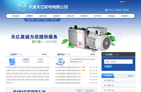 大连网站建设 -天亿机电有限公司-